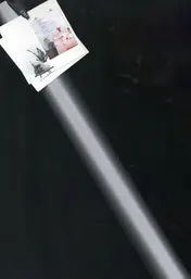 Omslag van Plint Poëzieposter 'we zouden kunnen gaan zitten' Sylvie Marie