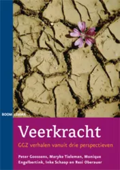 Omslag van Veerkracht