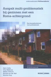 Omslag van Aanpak multi-problematiek bij gezinnen met een Roma-achtergrond