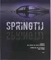 Omslag van Springtij