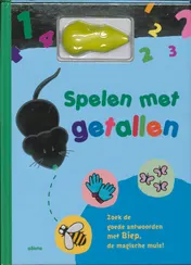 Omslag van Spelen met getallen