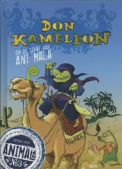 Omslag van Don Kameleon en de schat van Ani Mala
