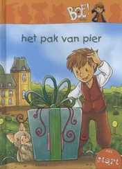 Omslag van Het pak van pier
