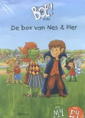 Omslag van De box van Nes & Pier