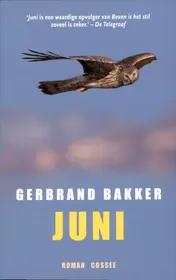 Omslag van Juni
