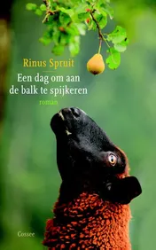 Omslag van Een dag om aan de balk te spijkeren