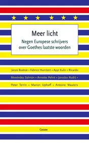 Omslag van Meer licht