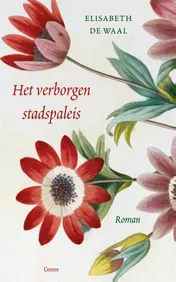 Omslag van Het verborgen stadspaleis