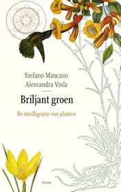 Omslag van Briljant groen