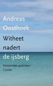 Omslag van Witheet nadert de ijsberg