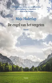 Omslag van De engel van het vergeten
