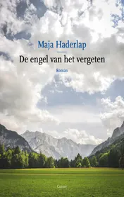 Omslag van De engel van het vergeten
