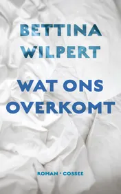 Omslag van Wat ons overkomt