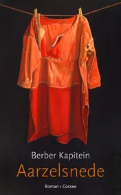Omslag van Aarzelsnede