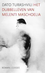 Omslag van Het dubbelleven van Melenti Maschoelia