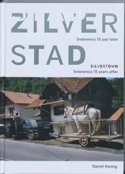 Omslag van Zilverstad = Silvertown