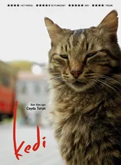 Omslag van Kedi
