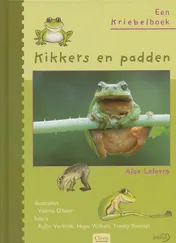 Omslag van Kikkers en padden