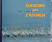 Omslag van Ganzen en zwanen