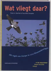 Omslag van Wat vliegt daar?