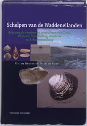 Omslag van Schelpen van de Waddeneilanden