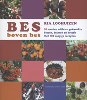 Omslag van Bes boven bes