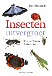 Omslag van Insecten uitvergroot