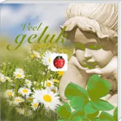 Omslag van Veel geluk