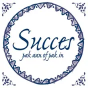 Omslag van Succes
