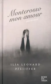 Omslag van Monterosso mon amour