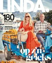 Omslag van Set 10 x LINDA.192