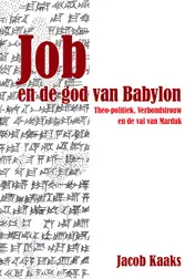 Omslag van Job en de god van Babylon