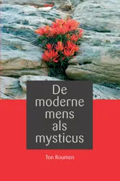 Omslag van De moderne mens als mysticus
