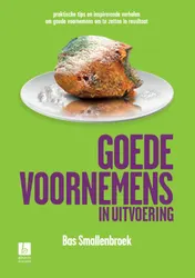 Omslag van Goede voornemens in uitvoering