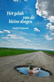 Omslag van Het geluk van de kleine dingen