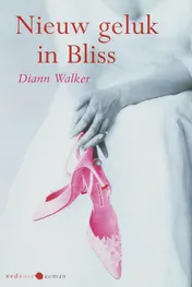 Omslag van Nieuw geluk in Bliss