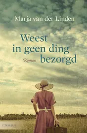 Omslag van Weest in geen ding bezorgd