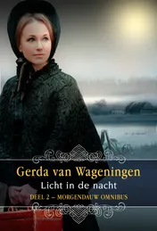 Omslag van Licht in de nacht