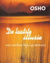 Omslag van De laatste illusie