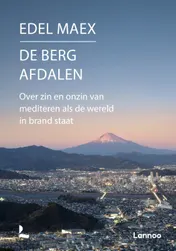 Omslag van De berg afdalen