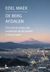 Omslag van De berg afdalen