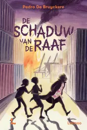 Omslag van De schaduw van de Raaf