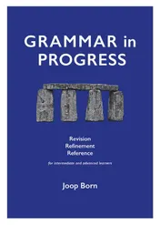 Omslag van Grammar in Progress