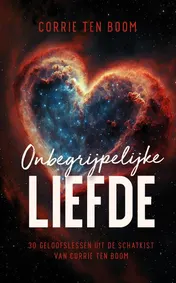 Omslag van Onbegrijpelijke liefde