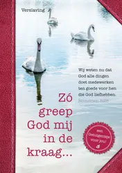 Omslag van Zó greep God mij in de kraag