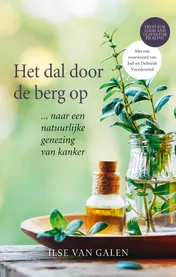 Omslag van Het dal door de berg op