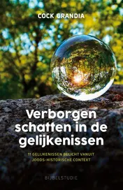 Omslag van Verborgen schatten in de gelijkenissen
