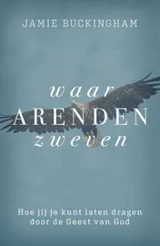 Omslag van Waar arenden zweven