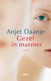 Omslag van Gezel in marmer