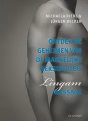Omslag van Ontdek de geheimen van de mannelijke seksualiteit
